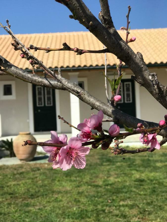 Tamaris Beach House Acharavi  Exteriér fotografie